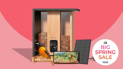Everyone's buying smart bird feeders during Amazon's Big Spring Sale