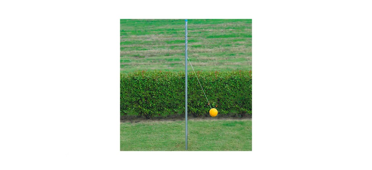 BSN Outdoor Tetherball Pole BSN Outdoor Tetherball Pole