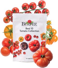 Burpee Best 10 Non-GMO Planting Tomato Seeds