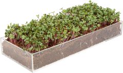 Window Garden Store Microgreens Grow Kit