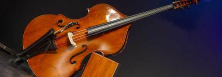 5 Best Upright Basses - May 2026 - BestReviews