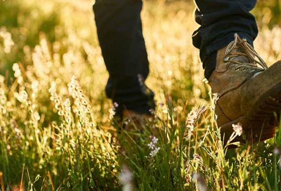 Best Men's Danner Boots