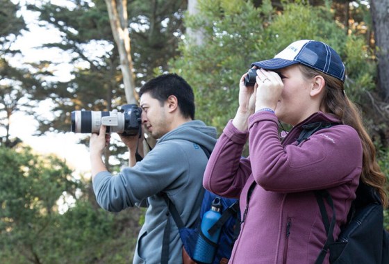 Take part in the global Great Backyard Bird Count with these apps and items 