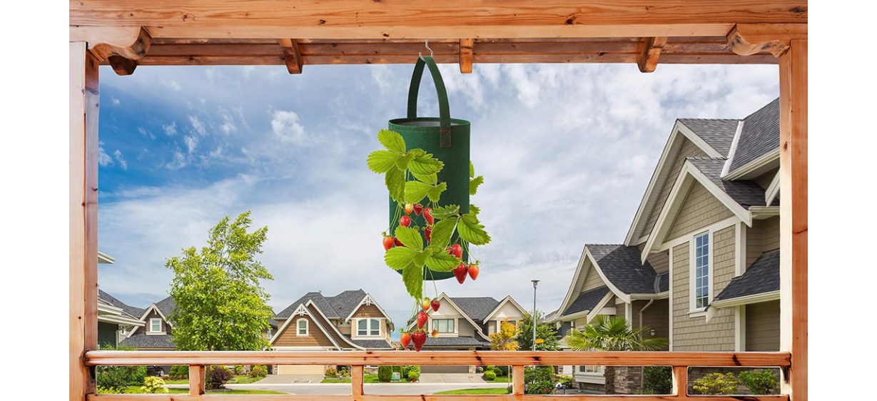 Pri Gardens Hanging Strawberry Planter