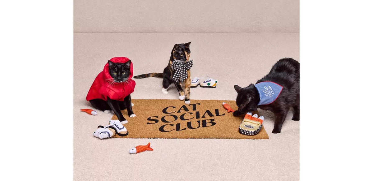Cat Social Club Doormat - The Cuddle Collab with Zelda, Titus &amp; Brave