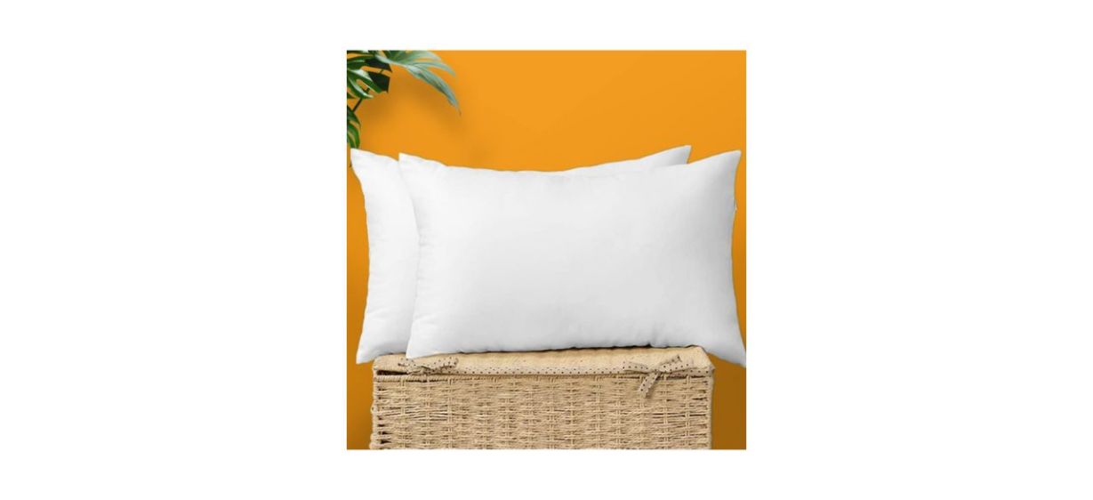 Best Otostar Throw Pillow Inserts