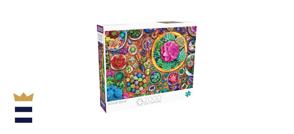 Buffalo Games Succulent Season