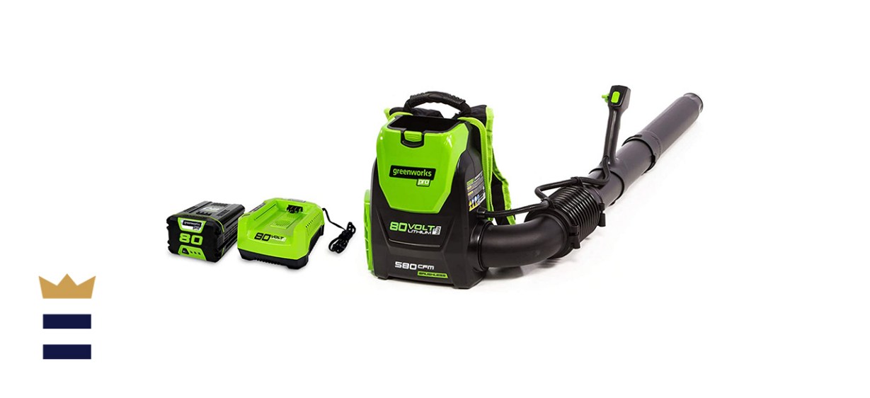 Greenworks 80V Backpack Blower