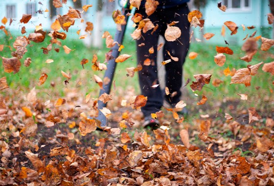 How to use a Shop-Vac as a leaf blower or leaf vacuum