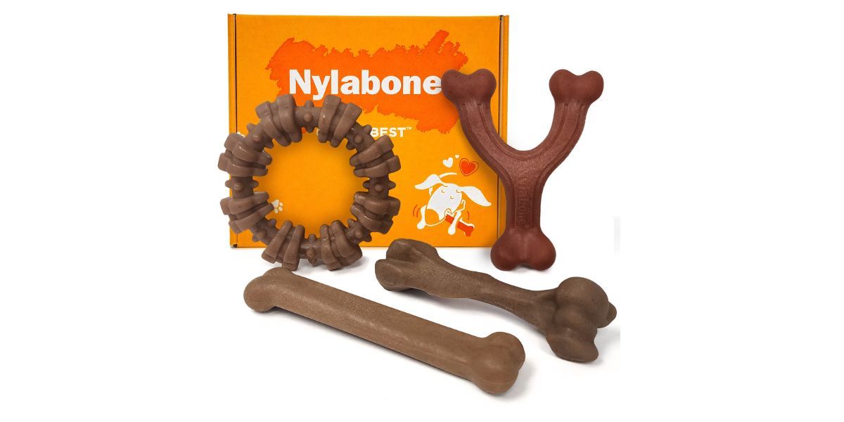 Nylabone Strong Chew Dog Toys 4-Pack