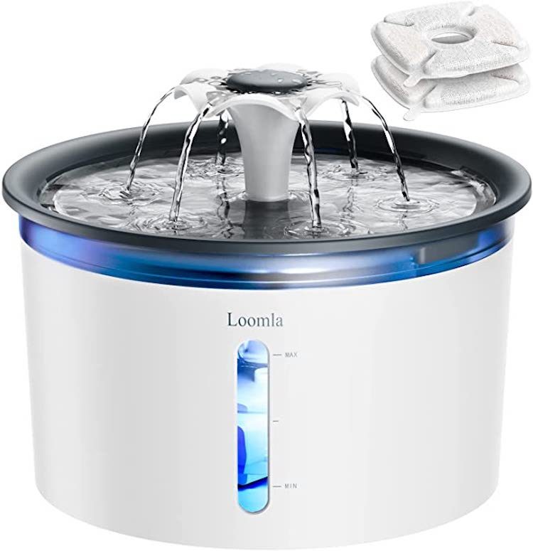 Loomla Automatic Water Dispenser with Switchable LED Lights