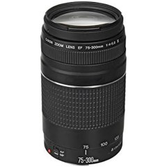 Canon EF 75-300 Telephoto Lens