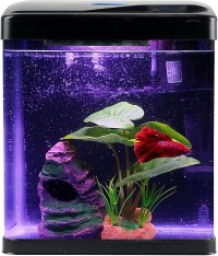 COOSPIDER Self-Cleaning Glass Nano Aquarium Kit