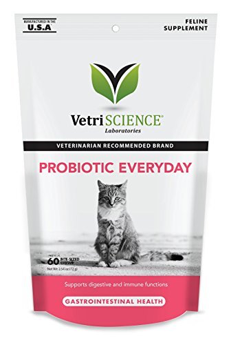 VetriScience Probiotic Everyday